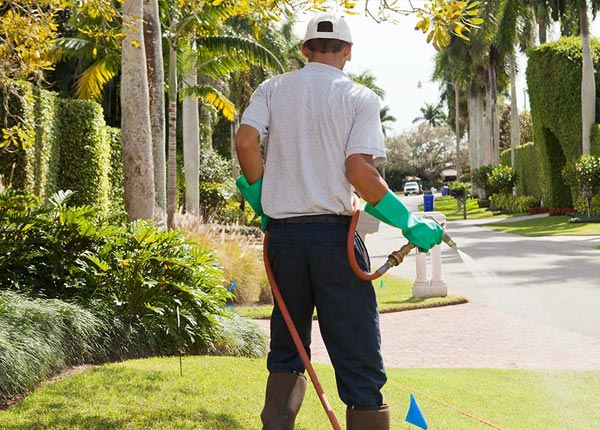 About Hargill TX Pest Control Pros